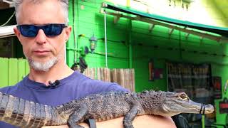 YouTube video thumbnail