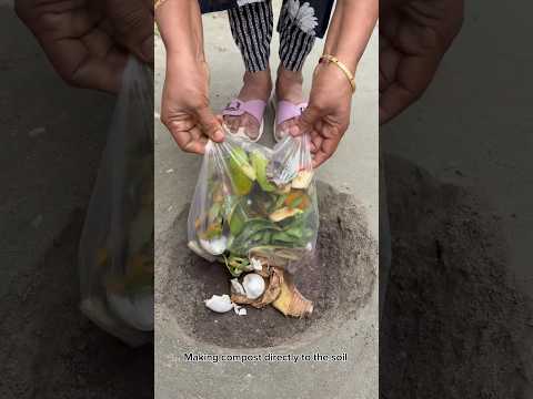 The easiest way to compost at home in directly to the ground #garden #shorts #compost #gardening