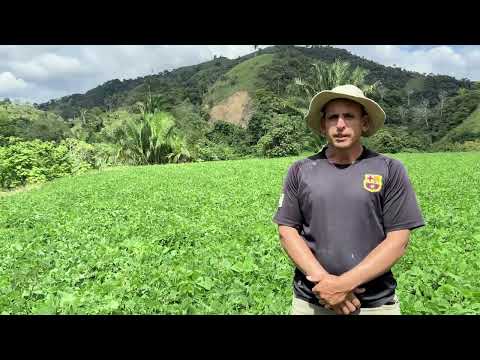Freddy Nuñez Quesada. Colinas de Buenos Aires, Puntarenas