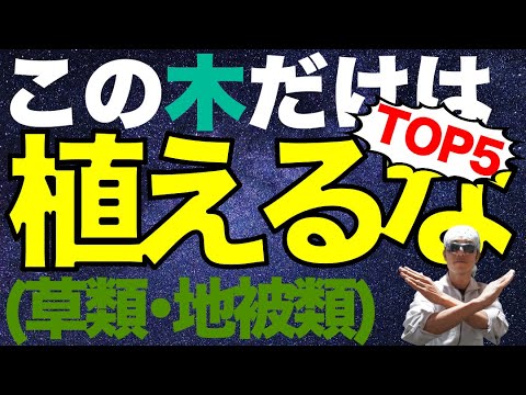 地被植物を上手に植える トピックス