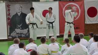 preview picture of video 'JKA Karate Gasshuku 2013 Czech Prachatice Tschechien'