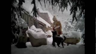 preview picture of video 'snowstorm 2010 backyard philadelphia new hope pa'