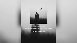 Download lagu Andmesh Kamaleng - cinta luar biasa x cinta luar biasa (Tiktok version) mp3