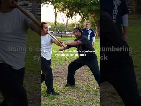 Using 6-count as attacking feed vs. single stick #filipinomartialarts  #kali #inosantolineage