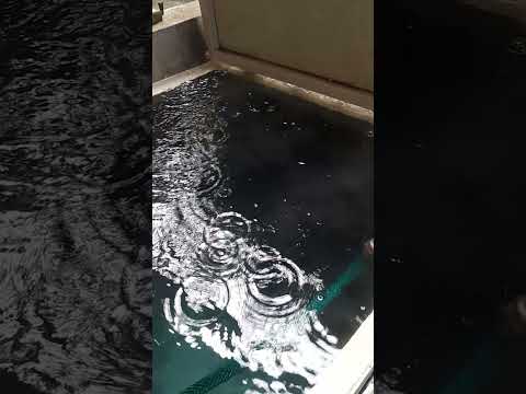 La lluvia se hace sentir este domingo 8 marzo en el distrito de Santa Rosa de Lima La Unión Norte.