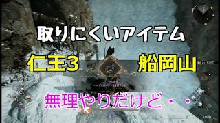 PS5 仁王3 アイテム 船岡山 無理やり取りました・・・