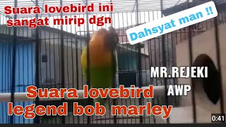 Download lagu MIRIP SUARA LOVEBIRD LEGEND BOB MARLEY..DAHSYAT MAN #lovebird #konslet mp3