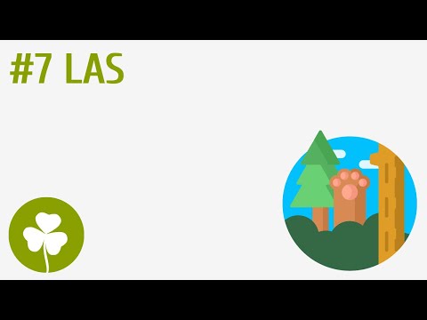 Las #7 [ Przyroda wokół mnie ]