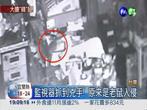 大膽"錢"鼠! 撬開電腦店收銀機