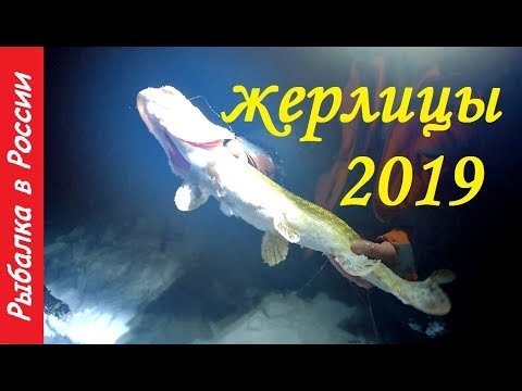 Ночные жерлицы.  Экстремальная рыбалка.  Ловля щуки на жерлицы 2019