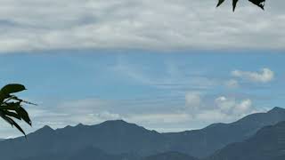 2025 9 08 靛色琉灰蝶屬 灰蝶科