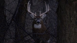 BOONER! Bowhunting the Rut in Kansas!