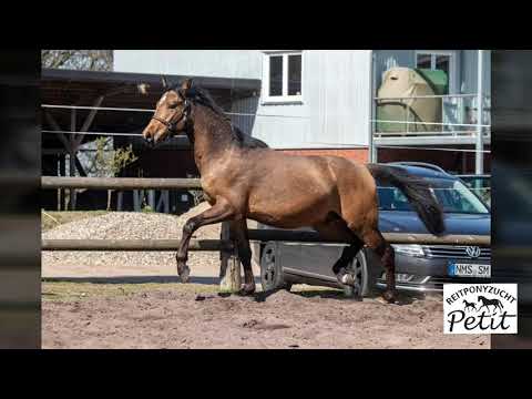 Petit Giorgio Armani v. Golden West