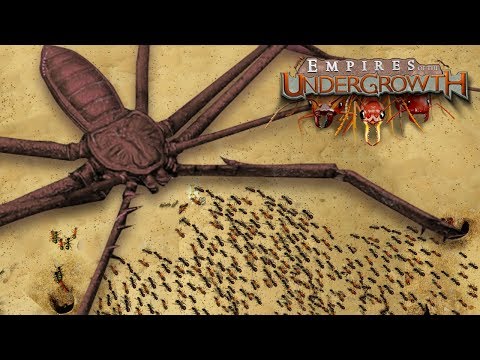 download lagu mp3 mp4 Undergrowth, download lagu Undergrowth gratis, unduh video klip Undergrowth