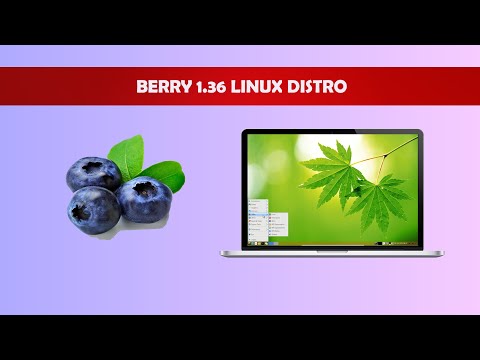 Berry 1.36 | Linux Distro Preview