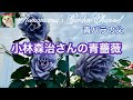 【青薔薇】青バラの父　小林森治さんの青薔薇　#ばら　#とちぎ花センター 