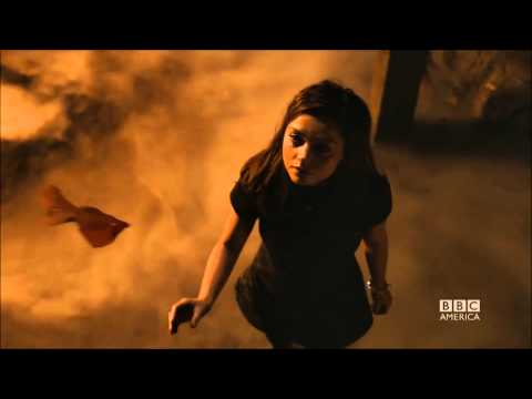 A Tribute to the Doctor's Companions