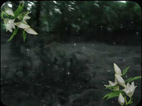 ♰ Beauty Potion 🧪