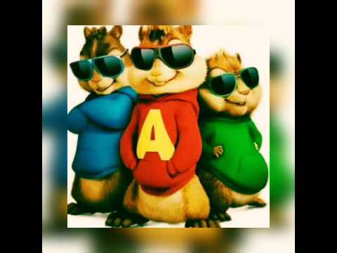 Collo x bruz newton chipmunk version(latest)