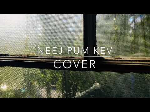 Neej Pum Kev - Halo Zong (Cover)