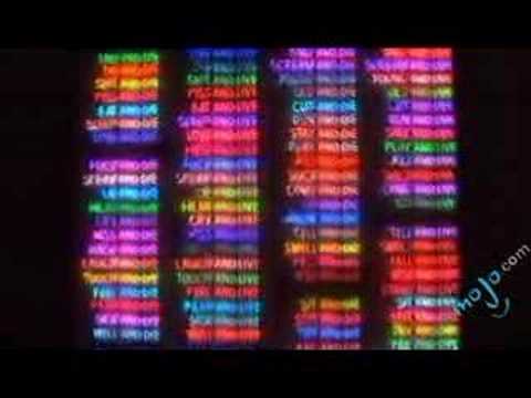 The Art of Bruce Nauman