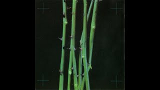 Cemetary - By My Own Hand (1993)