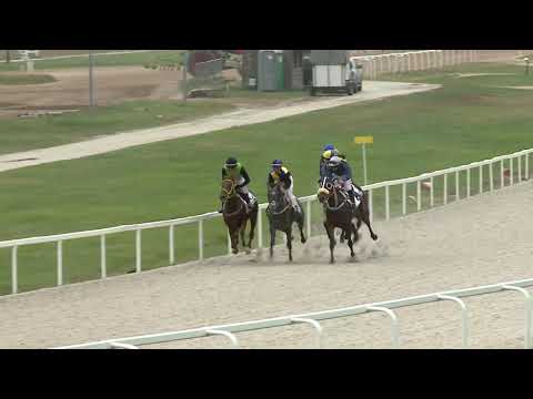 2020.10.11. 01. futam - TORNYOSLÖBI HENDIKEP (V/b.) (szintetikus pálya)