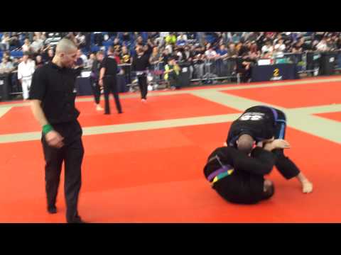 BJJ London Open 2014 medium heavy purple belt
