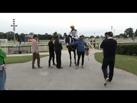 CARRERAS HIPODROMO MAROÑAS - 220918 c08 1° LITTLE STUART (BRZ)