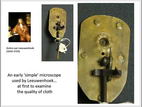 Cell theory part 1- Early discoveries