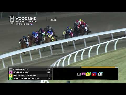 Woodbine: November 30, 2019 - Race 11