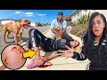 Spend The Day With Us Our Daughter Yaya Got Bit By A Vicious Dog