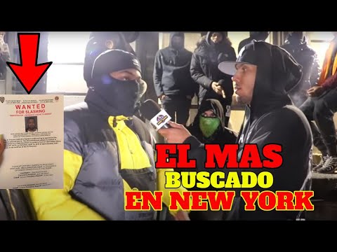 THE MOST WANTED DOMINICAN FOR 3 YEARS IN NEW YORK! PAYDRO THE 3RD RANGE.