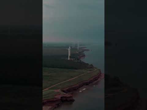 It’s beautiful here #pei #coastline #windmill #shorts