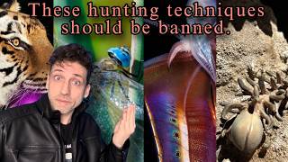 Animals That Hunt So Unfair It Should Be Banned!