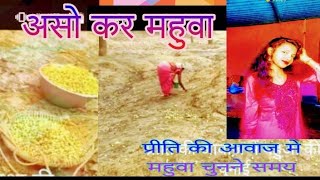 Aeso kar mahua re,, Miss Priti Mehar #video #song