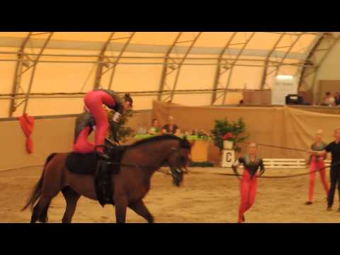 Voltigieren Wildenburg - Juniorteam - Kür (Sonntag) - LM Bodenheim 2013