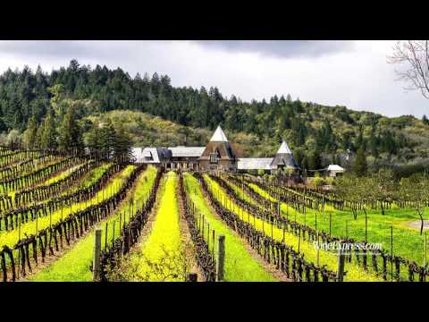 Francis Coppola Director's 2013 Pinot Noir, Sonoma Coast