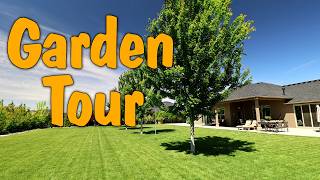 My Yard & Garden Are Looking Fantastic This Year!