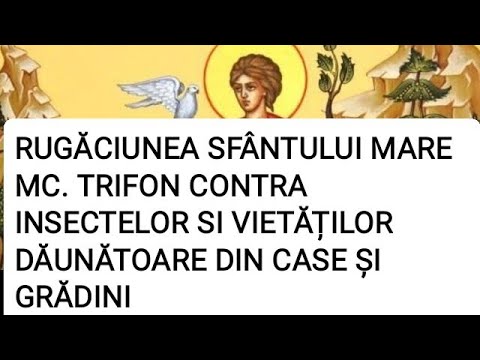 RUGĂCIUNEA SFÂNTULUI MARE MC TRIFON CONTRA INSECTELOR SI VIETĂȚILOR DĂUNĂTOARE DIN CASE ȘI GRĂDINI