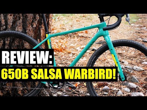 650B SALSA WARBIRD!  IS THIS THE ONE!?!