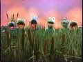 Frog Talk From Billy Bunny S Animal Songs