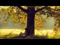 The Wind and The Wave - Every Other Sunday ...