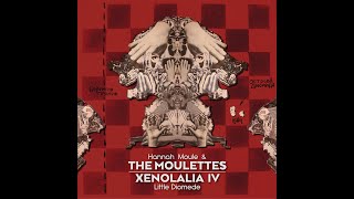 Little Diomede: Another Night in Babylon BY Moulettes/C.T.Burnige