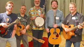 Austin Lounge Lizzards