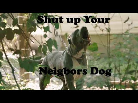 2 HRS Anti Dog Ultrasonic Sound Stop Dog Barking Bark Control