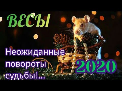 ВЕСЫ - Таро прогноз на 2020 год.