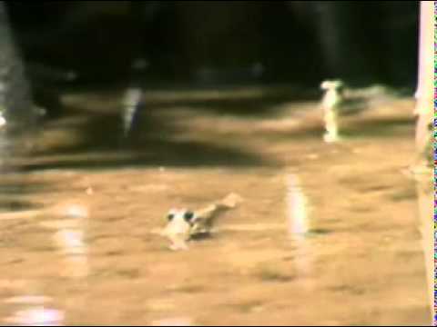 Moro song Enten sa Lekami duwa By Thoks And Escky