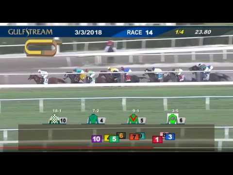 A Closer Look: 2018 Fountain of Youth Stakes