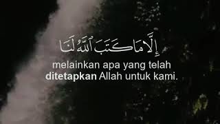Download lagu QS At-Taubah ayat 51 mp3